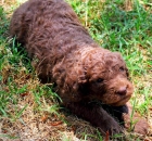 anjelique-wendys-photo-img_4589ea_edited-3