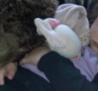 cece-thrasher-jarvis-evie-cookie-at-nap-time