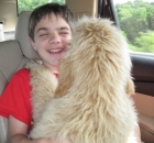 Child Holding a Standard Poodle