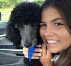 Child Holding a Black Standard Poodle Puppy