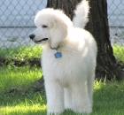 brie-etc-summer-2011-025