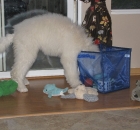 brie-etc-summer-2011-070