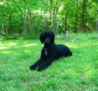 marshall-spring-2015-house-photos-012