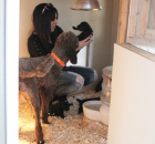 18-last-exam-of-night