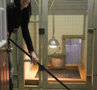 20-erica-mopping-the-poodle-whelping-area-and-nursery-copy