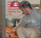 3-cody-making-sure-a-litter-of-pups-are-nursing-well