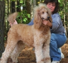 2014-10-18-scarlet-11