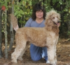 2014-10-18-scarlet-9