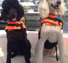 sharon-coughlin-on-a-boat-ride-with-levon-a-bonnie-cloud-daughter-vegas-a-glitter-cloud-daughter