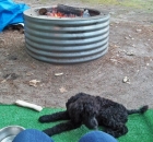 2013-burt-lake-state-park-011