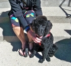 2013-willows-cut-at-almost-4-months-2013-09-03-004