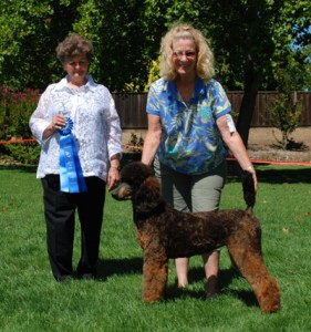 Echo is a Gunsmoke & Noel daughter