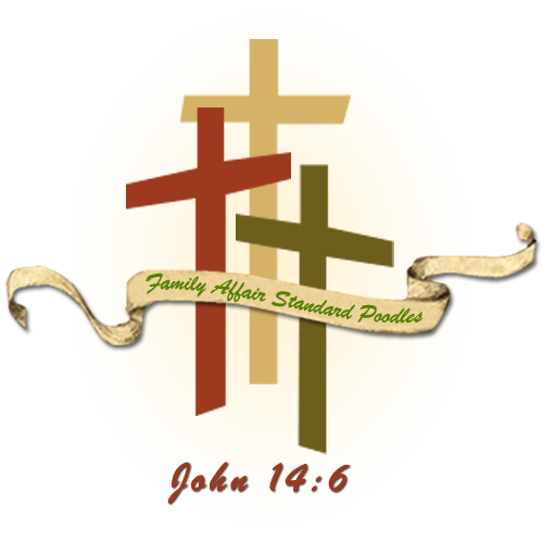 Family Affair Standards Logo