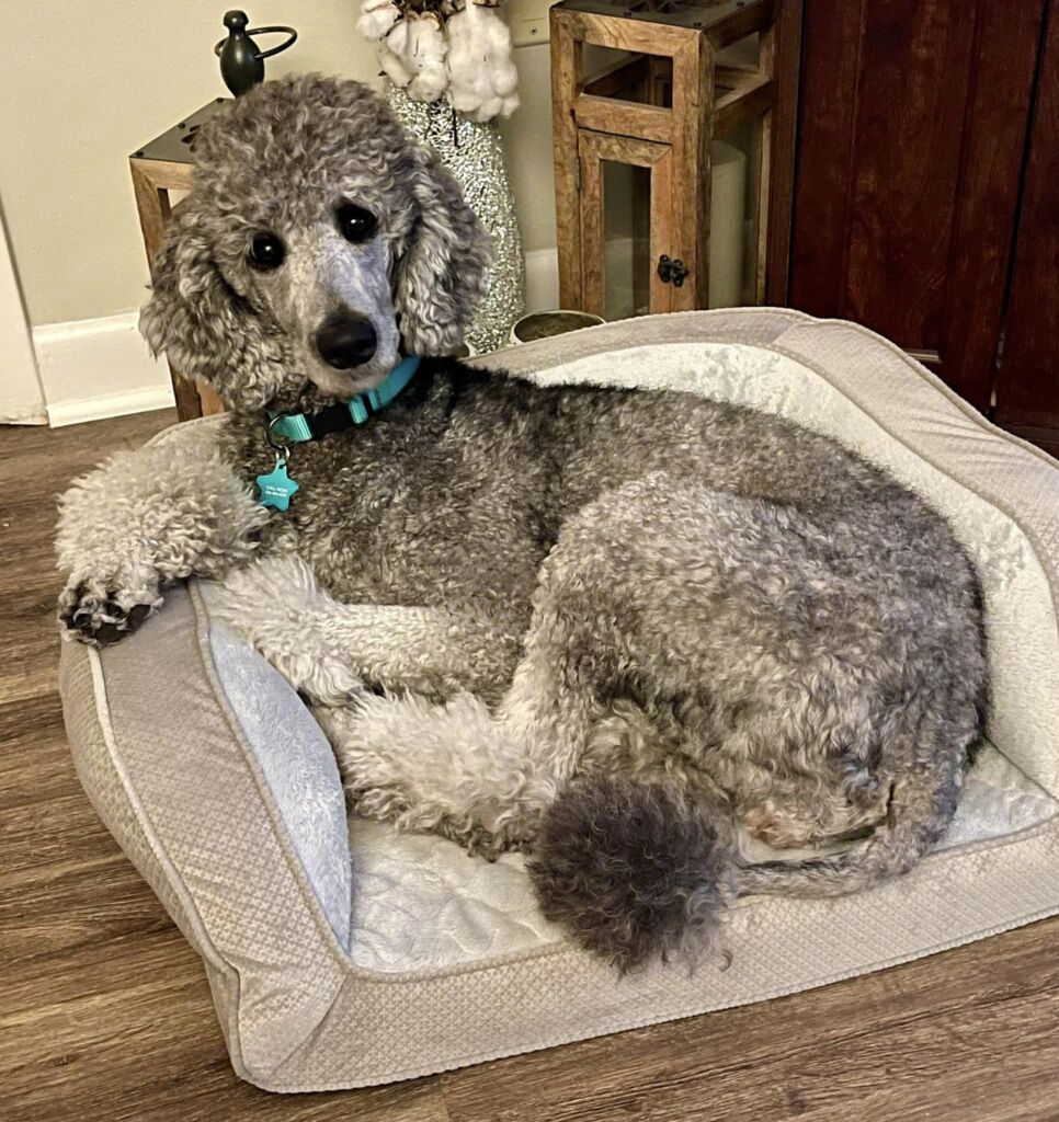 Jarrell - Special Needs